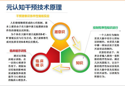 全國(guó)第二期家庭元認(rèn)知心理教育技術(shù)落地培訓(xùn)即將在杭州舉行